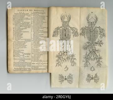 Livre scientifique vintage. Un ancien livre d'anatomie avec ses pages affichées. Banque D'Images