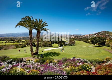 Club de Golf de Las Palmas, Bandama Crater, Gran Canaria, Iles Canaries, Espagne Banque D'Images