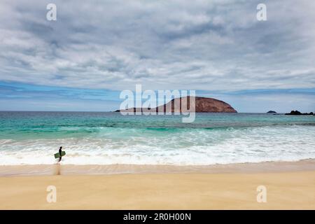 Surfer sur la plage, Playa de las Conchas, île la Graciosa, Lanzarote, Iles Canaries, Espagne, Europe Banque D'Images