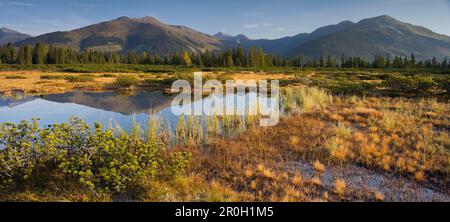 Réserve naturelle Sieben Moeser, Hochkrimml, Gerlosplatte, Alpes de Kitzbueheler, Salzbourg, Autriche Banque D'Images