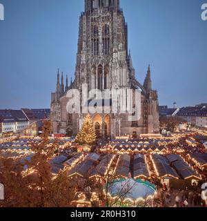 Marché de Noël devant le Muenster Ulmer au crépuscule, Ulm, Bade-Wurtemberg, Allemagne, Europe Banque D'Images