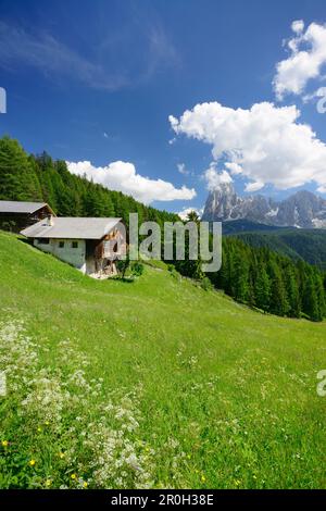 Ferme en face de Langkofel, Val Gardena, Dolomites, site du patrimoine mondial de l'UNESCO, Dolomites Tyrol du Sud, Italie Banque D'Images