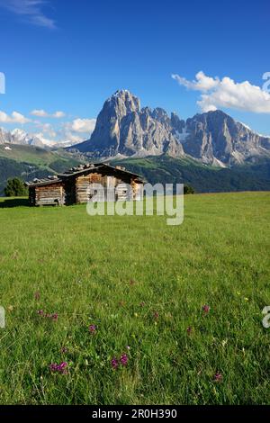 Prairie avec ferme en face de Langkofel, Val Gardena, Dolomites, site du patrimoine mondial de l'UNESCO, Dolomites Tyrol du Sud, Italie Banque D'Images