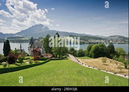 Château de Meggenhorn avec le Mont Pilate dans l'arrière-plan, le lac de Lucerne, dans le canton de Lucerne, Suisse, Europe Banque D'Images