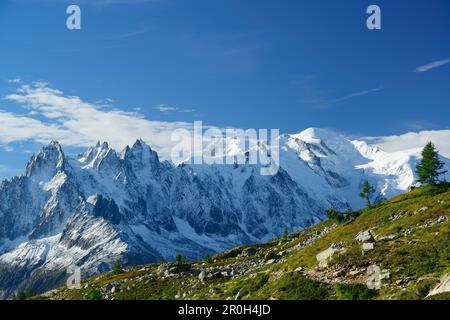 Vue sur les aiguilles du Chamonix, le Mont blanc du Tacul, l'aiguille du midi, le Mont Maudit et le Mont blanc, le massif du Mont blanc, Chamonix, Savoie, France Banque D'Images