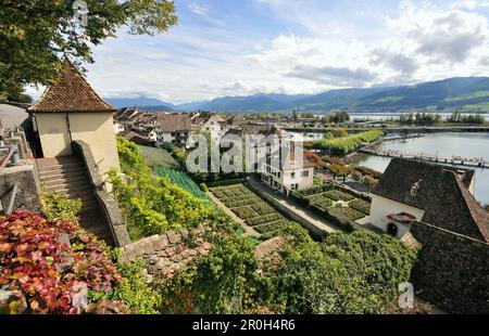 Vue du château sur Rapperswil au lac de Zurich, Suisse, Europe Banque D'Images