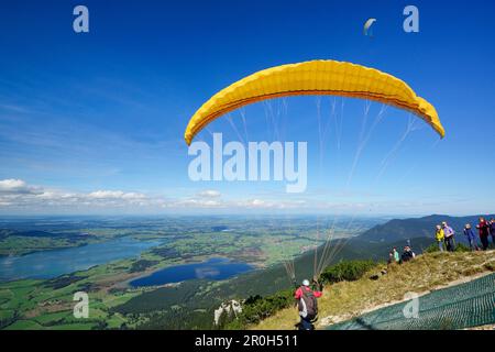 Parapente à partir de Tegelberg, lac Forggensee et lac Bannwaldsee en arrière-plan, Tegelberg, gamme Ammergau, Allgaeu, Swabia, Bavière, Allemagne Banque D'Images