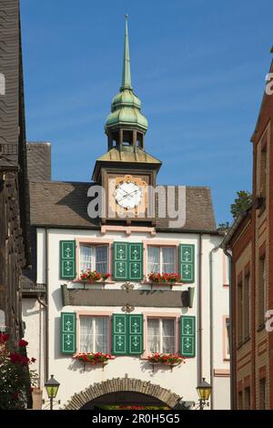 Hôtel, Ruedesheim, Rheingau, Rhin, Hesse, Allemagne Banque D'Images