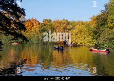 Lac de Tiergarten en automne avec bateaux à rames, Berlin Centre Berlin, Allemagne Banque D'Images