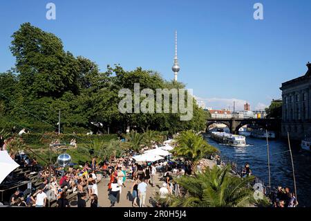 Bar de plage avec palmiers à côté de la rivière Spree, Mitte, Tango Dance, Alex, Berlin, Allemagne Banque D'Images