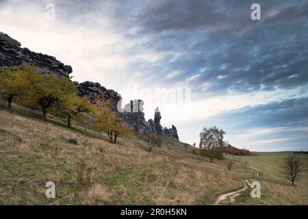 Teufelsmauer, mur du diable près de Weddersleben, Harz, Saxe-Anhalt, Allemagne, Europe Banque D'Images