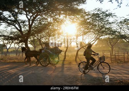 Calèche et cycliste, New Bagan, Bagan, Myanmar, Birmanie, Asie Banque D'Images