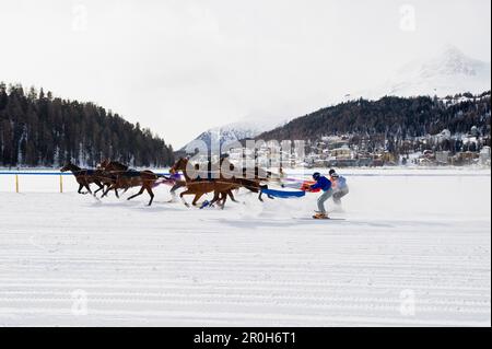 Ski, course de chevaux White Turf Horse Race 2013, St. Moritz, vallée de l'Engadine, canton de Graubuenden, Suisse Banque D'Images