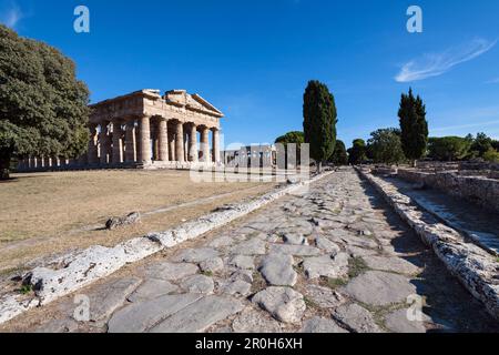 Temple Poseidon, Temple Neptune, rue Sacrée, ville historique de Paestum dans le Golfe de Salerne, Capaccio, Campanie, Italie, Europe Banque D'Images