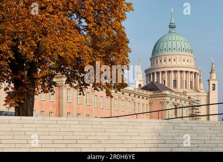 Potsdam City Palace et St. Eglise de Nicolas, Eglise de Nikolai, Alter Markt, Potsdam, Land de Brandebourg, Allemagne Banque D'Images