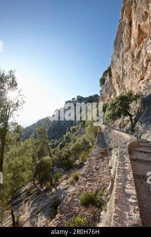 Piste cyclable et de marche menant à Castell Alaro, sur Puig d'Alaro, près du village d'Alaro, Tramuntana, Mallorca, Îles Baléares, Espagne Banque D'Images