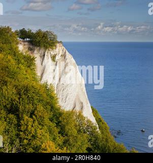 Koenigsstuhl, président du Roi, falaises de craie, le Parc National de Jasmund, Rügen, Mecklembourg-Poméranie-Occidentale, Allemagne Banque D'Images