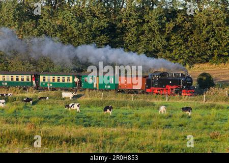 Vieux train à vapeur, Rasender Roland près de Binz, Ruegen, Mecklembourg-Poméranie occidentale, Allemagne Banque D'Images