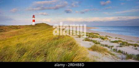 Liste phare, Ellenbogen, Sylt, Schleswig-Holstein, Allemagne Banque D'Images