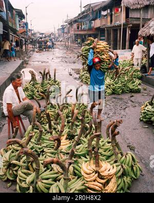 Le Pérou, Belen, Amérique du Sud, Amérique latine, l'abondance de bananes au marché de Belen Banque D'Images