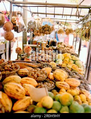 BRÉSIL, Belem, Amérique du Sud, fruits et noix amazoniens en vente, marché Ver-O-Peso Banque D'Images