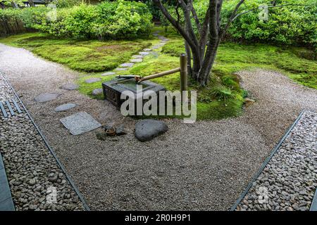 Doji-en au Toyota Municipal Museum of Art - un musée d'art qui a ouvert en 1995 à Toyota City. Le bâtiment a été conçu par Yoshio Taniguchi l'un des Banque D'Images