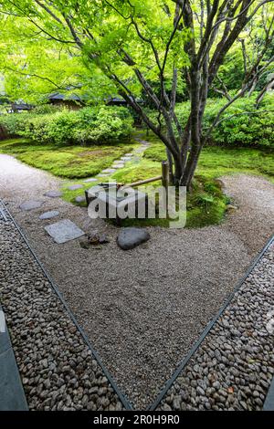 Doji-en au Toyota Municipal Museum of Art - un musée d'art qui a ouvert en 1995 à Toyota City. Le bâtiment a été conçu par Yoshio Taniguchi l'un des Banque D'Images