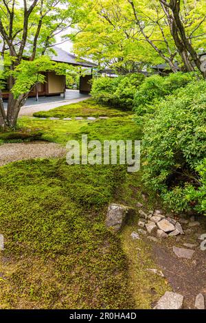 Doji-en au Toyota Municipal Museum of Art - un musée d'art qui a ouvert en 1995 à Toyota City. Le bâtiment a été conçu par Yoshio Taniguchi l'un des Banque D'Images