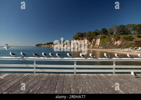 USA, Californie, Malibu, Seagulls sont assis sur une rampe sur la jetée de Paradise Cove Banque D'Images