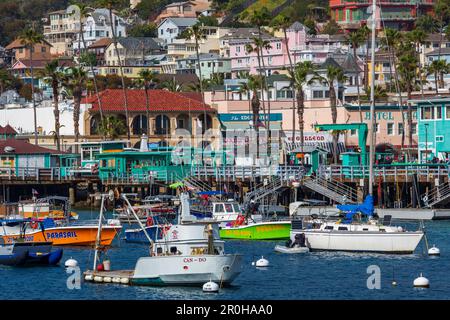 Green Pier, Avalon City, Catalina Island, Californie du Sud, États-Unis Banque D'Images