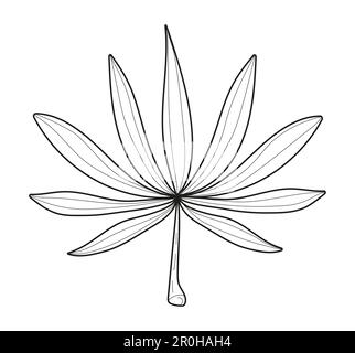 Branche végétale, vecteur de feuilles. Branches d'arbre vintage dessinées à la main avec des feuilles et des fleurs. Illustration de Vecteur