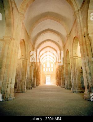 FRANCE, Bourgogne, intérieur de l'Abbaye de Fontenay, Marmagne Banque D'Images