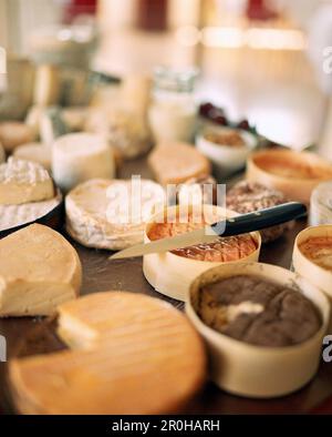 FRANCE, Bourgogne, plateau de fromages, restaurant le Charlemagne Banque D'Images