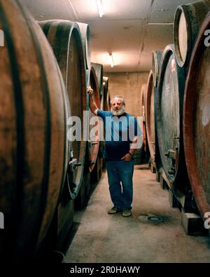 FRANCE, Montigny-les-Arsures, Arbois, Jacques Puffeney est à sa salle barillet, Jacques Puffeney Winery, région des vins du Jura, Vin Jaune Banque D'Images