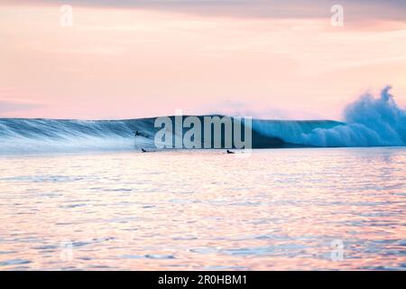 INDONÉSIE, Îles Mentawai, Kandui Resort, surf Bankvoûtes au crépuscule, Océan Indien Banque D'Images