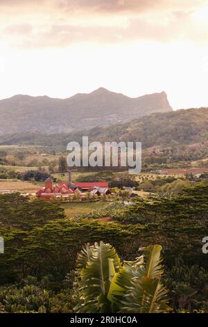 MAURICE, Chamarel, une vue imprenable sur la Rhumerie de Chamarel et le paysage environnant Banque D'Images