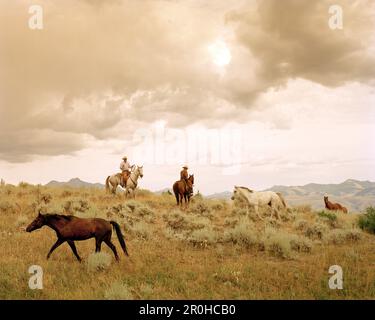 États-Unis, Montana, cow-boys assis à cheval après avoir laissé d'autres chevaux à pastrue, Mountain Sky Guest Ranch Banque D'Images