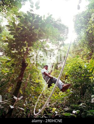 PANAMA, El Valle, Canopy aventure tyrolienne dans la canopée de la Jungle, Advneture la canopée, l'Amérique centrale Banque D'Images