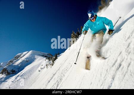 USA, Utah, jeune homme ski Lee's Tree, Alta Ski Resort Banque D'Images