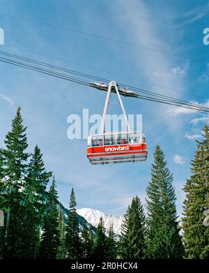 USA, Utah, le Snowbird tram transporte les skieurs au sommet de la montagne, station de ski de Snowbird Banque D'Images