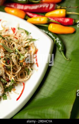 VIETNAM, Hanoï, Sofitel Metropole Hotel, salade mixte au tofu Banque D'Images
