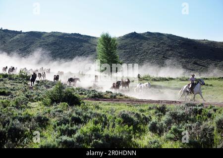 USA, Wyoming, du cantonnement, menant à un chevaux wranglers barn tôt le matin, Abara Ranch Banque D'Images