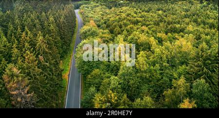 Route de campagne traversant forêt mixte, 14.08.2018, photo aérienne, Allemagne Banque D'Images