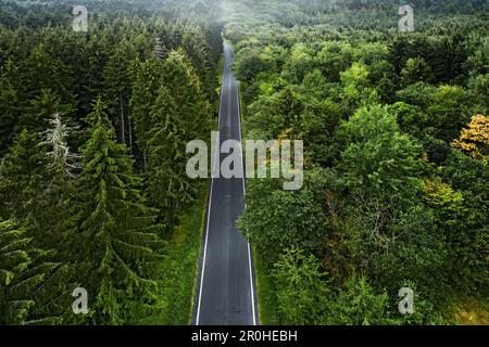 Route de campagne traversant forêt mixte, 14.08.2018, photo aérienne, Allemagne Banque D'Images