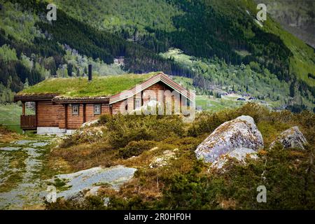 Chalet en rondins avec toit en gazon, Norvège Banque D'Images