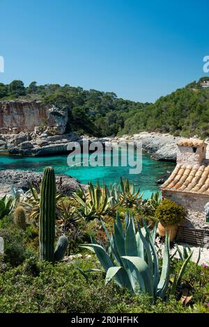 Cala s'Almunia, près de Santanyi, Majorque, Espagne Banque D'Images