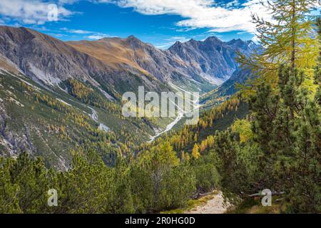 Vue sur le Val Cluozza en automne, Parc National Suisse, Canton des Grisons, Suisse Banque D'Images