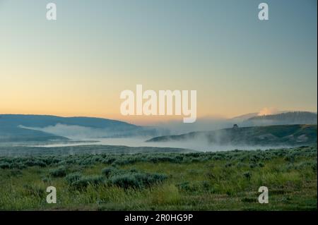 Du brouillard surplombe la rivière Yellowstone le matin d'une journée bien dégagée dans la vallée de Hayden Banque D'Images