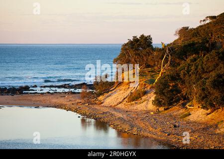 Paysage de la Côte sauvage, l'Est, Mbotyi Cap, Afrique du Sud Banque D'Images