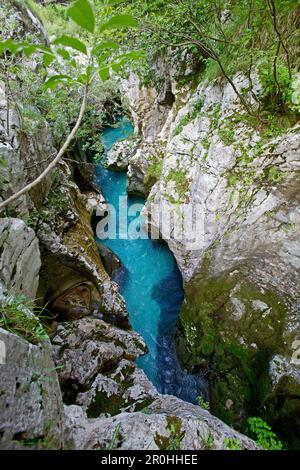 Vue sur la rivière Soca entre les rochers, Alpe-Adria-Trail, Tolmin, Slovénie Banque D'Images